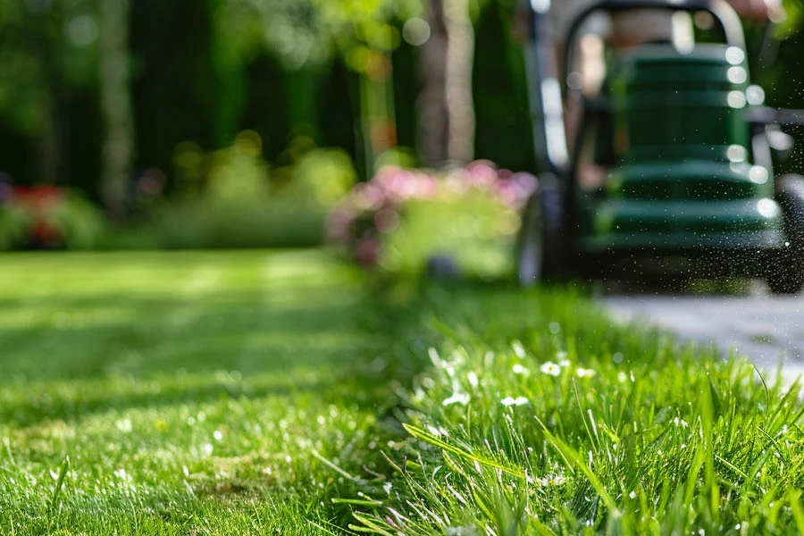 best self propelled battery lawn mower