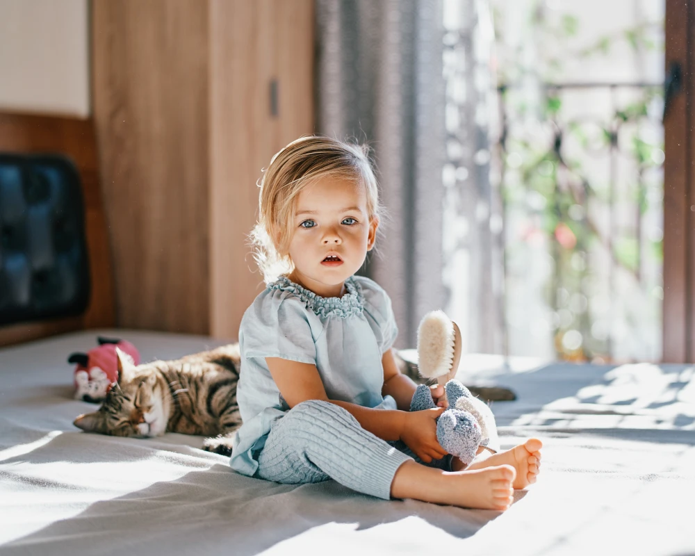 best motion bassinet