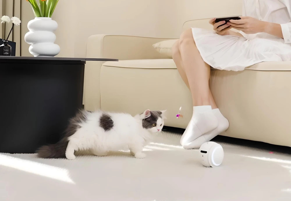 best indoor pet monitoring camera