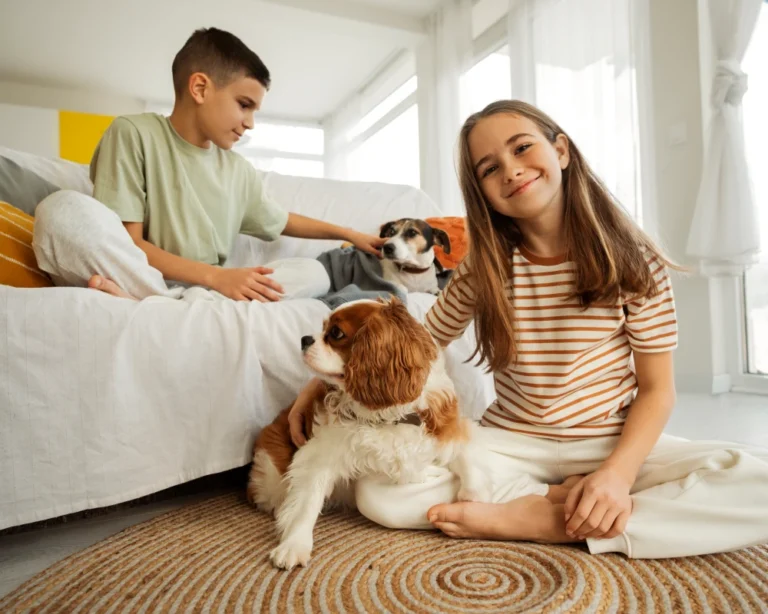 pet food and water dispenser