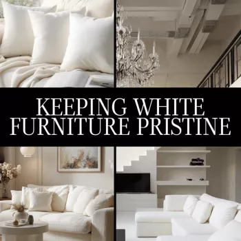 Safest Way to Remove Coffee Stains from White Upholstery