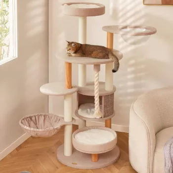 Best Cat Scratcher Tower Height for Adult Cats